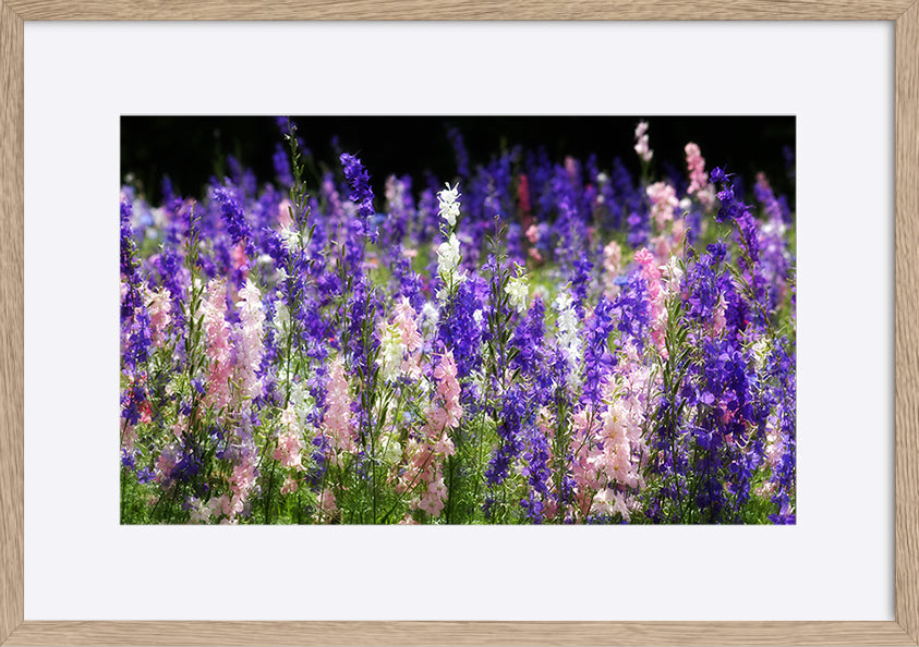 paper_frame