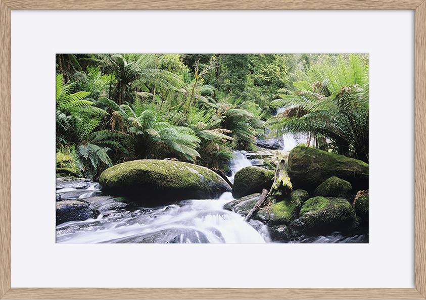 paper_frame