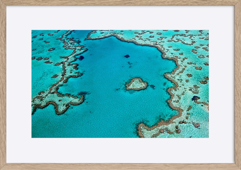 paper_frame