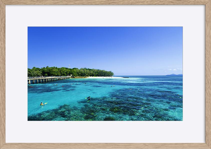 75599944 Great Barrier Reef, Queensland copy - ArtFramed