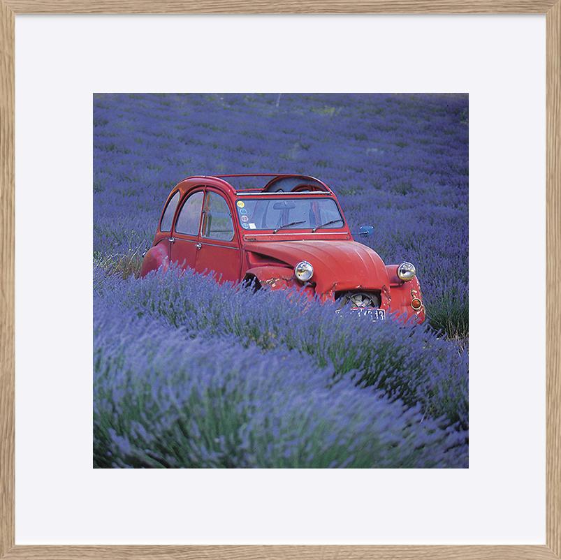 paper_frame