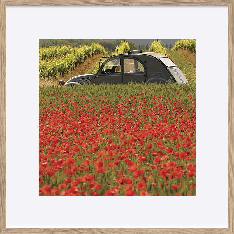 paper_frame