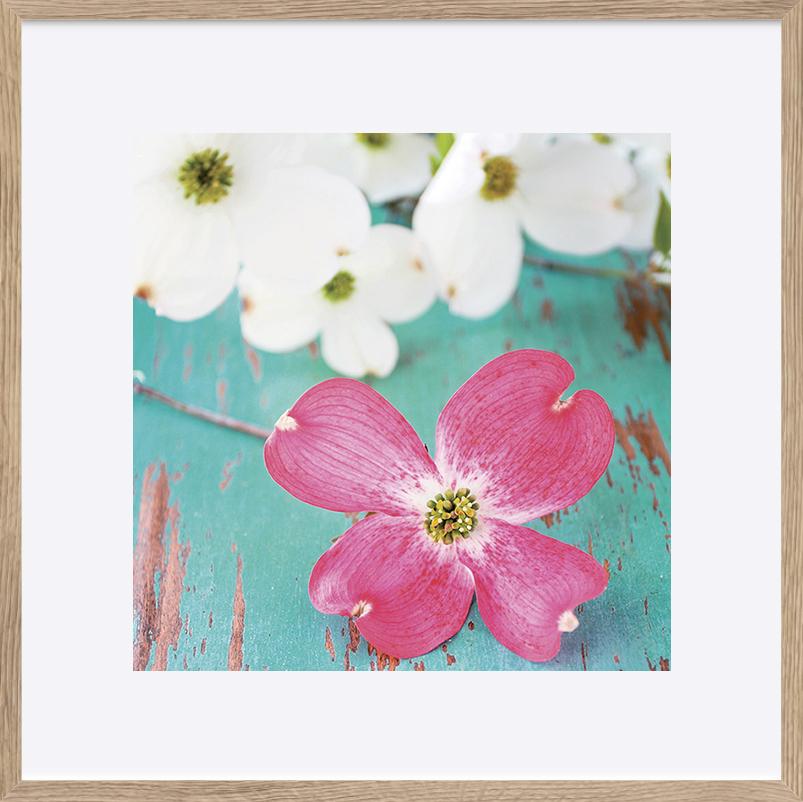 paper_frame