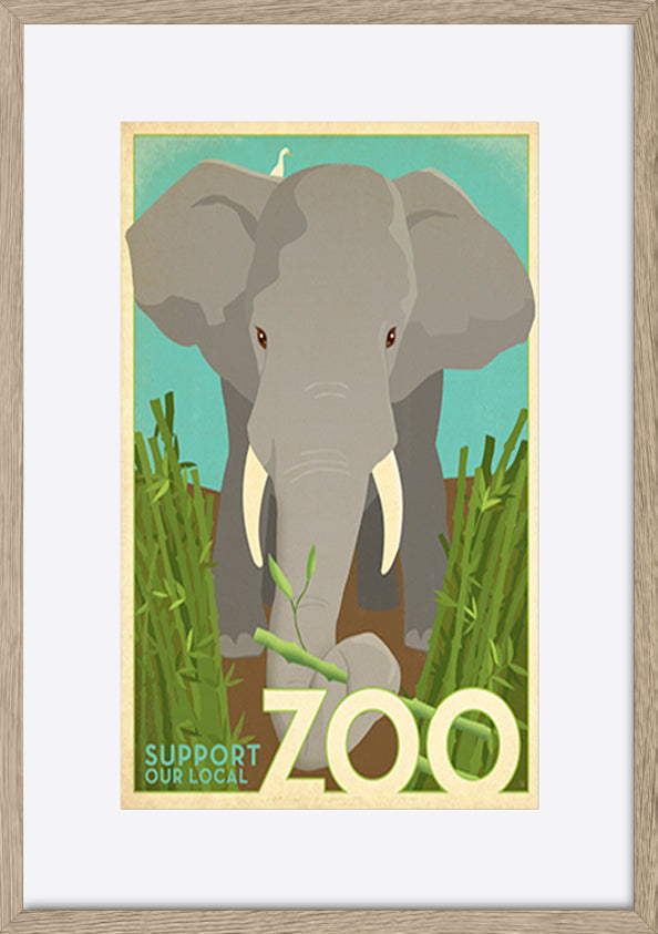 AL JOEAND116846 Zoo vintage elephant - ArtFramed