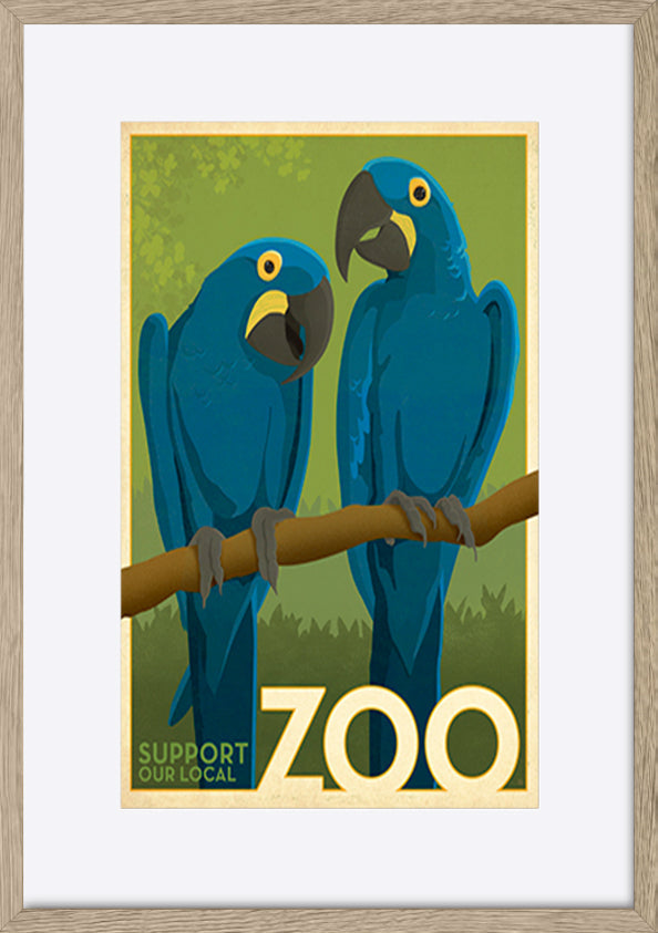 AL JOEAND116848 Zoo vintage cockatoo birds - ArtFramed