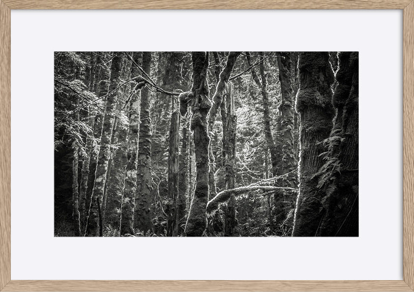 paper_frame