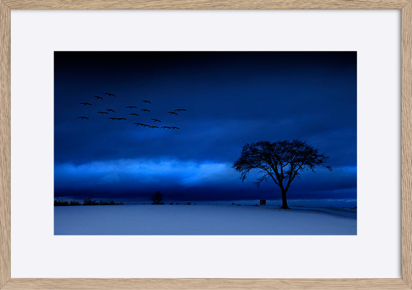 paper_frame
