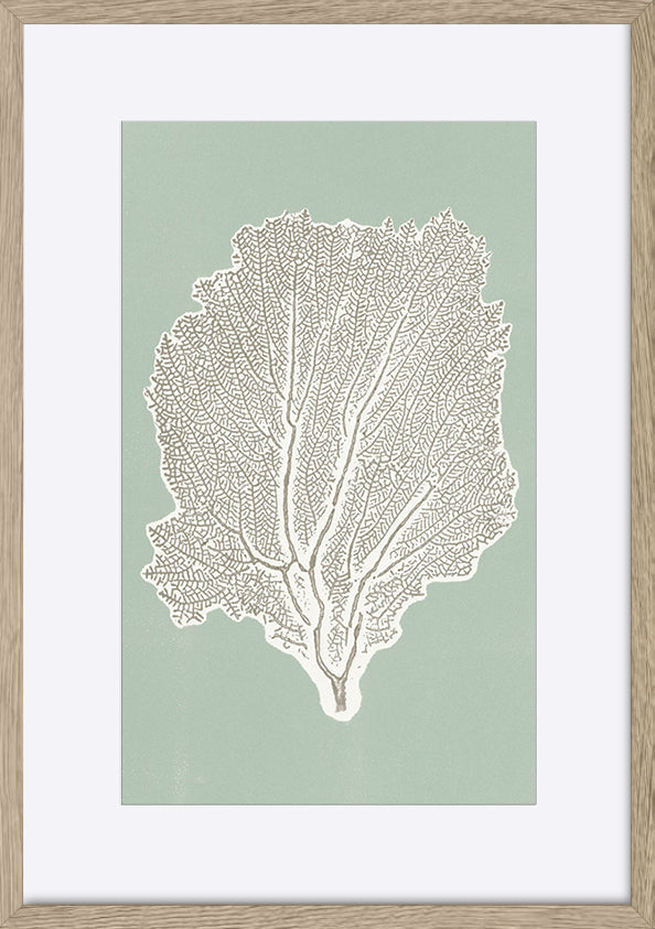 paper_frame