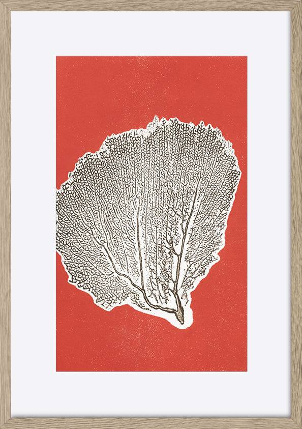 paper_frame