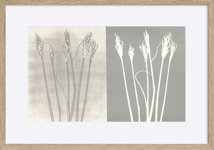 paper_frame