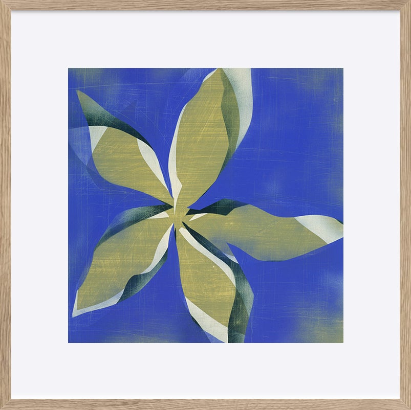 paper_frame