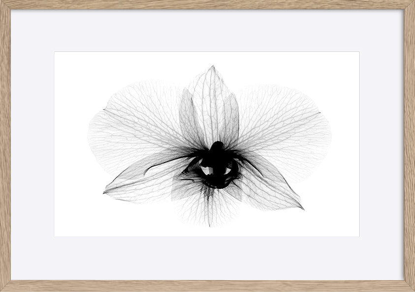 paper_frame
