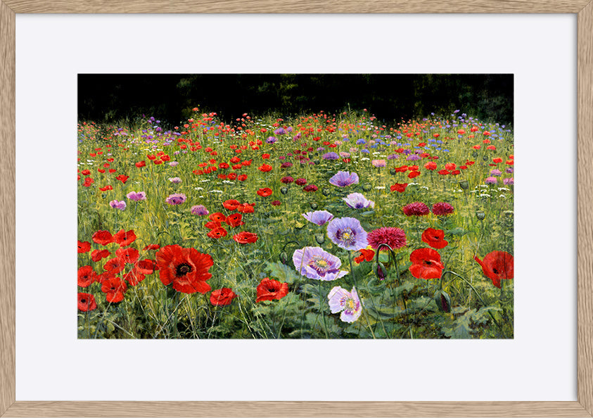 paper_frame