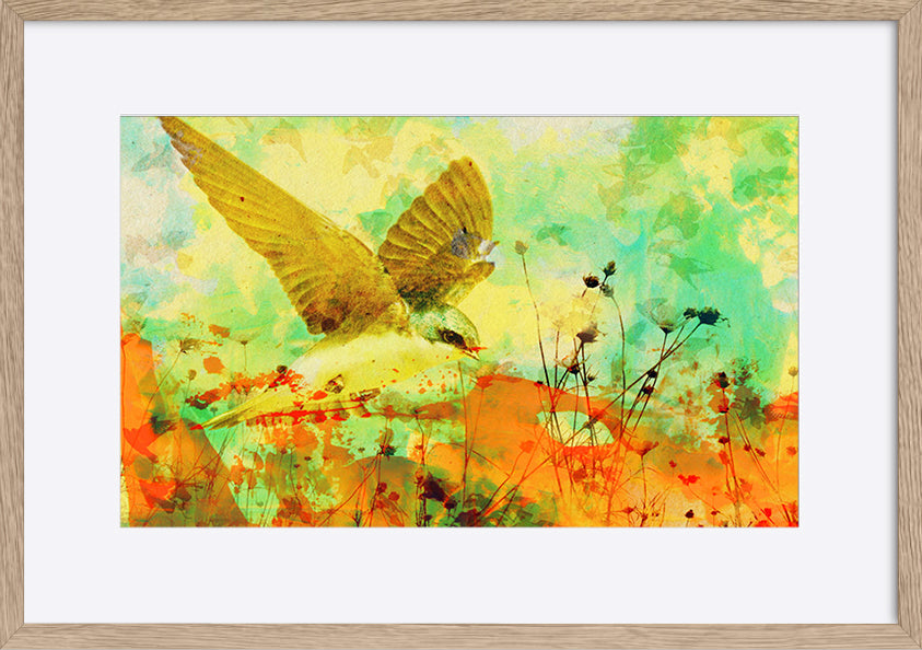 paper_frame