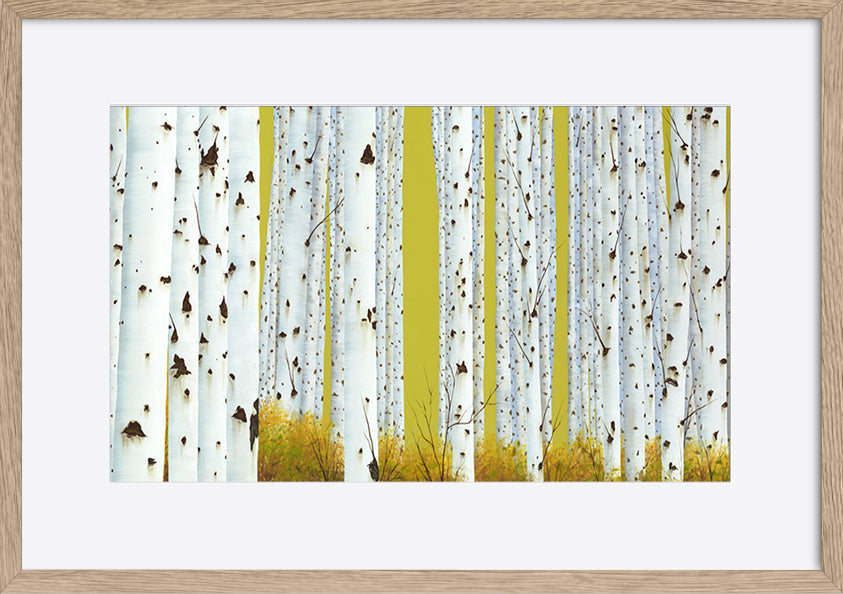 paper_frame