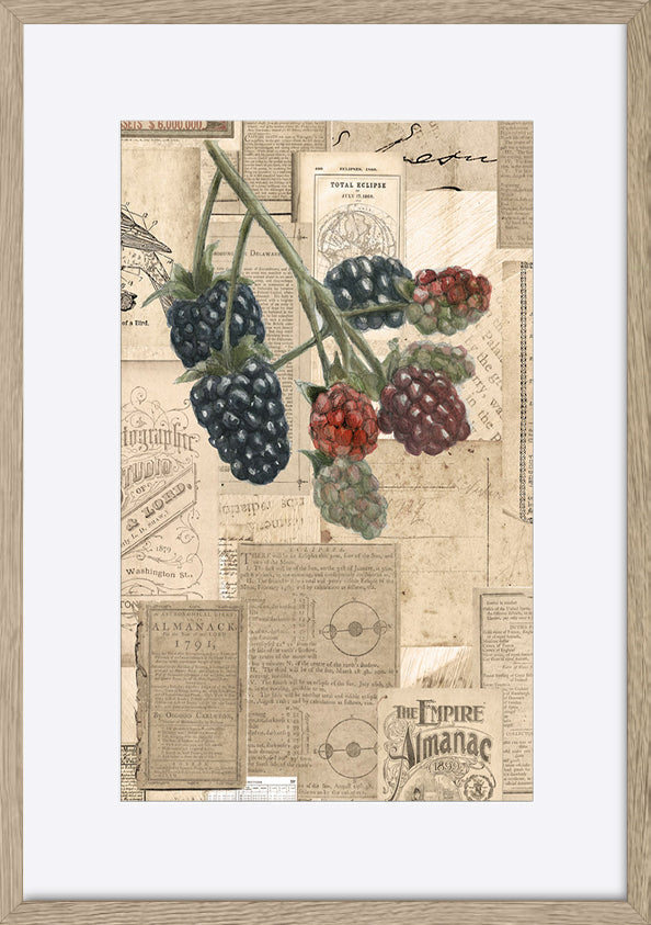 paper_frame