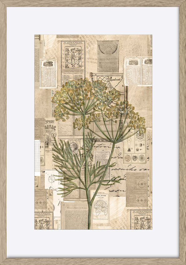 paper_frame