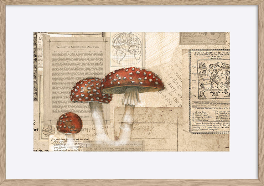 paper_frame