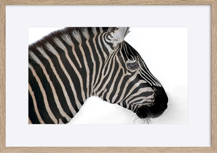 paper_frame