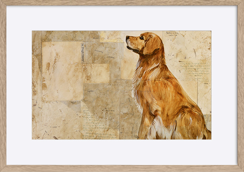 paper_frame