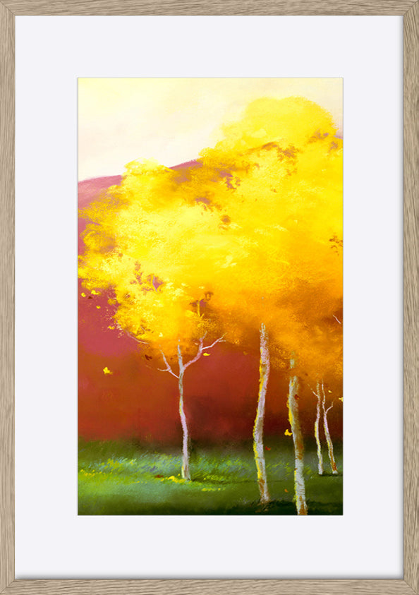 paper_frame