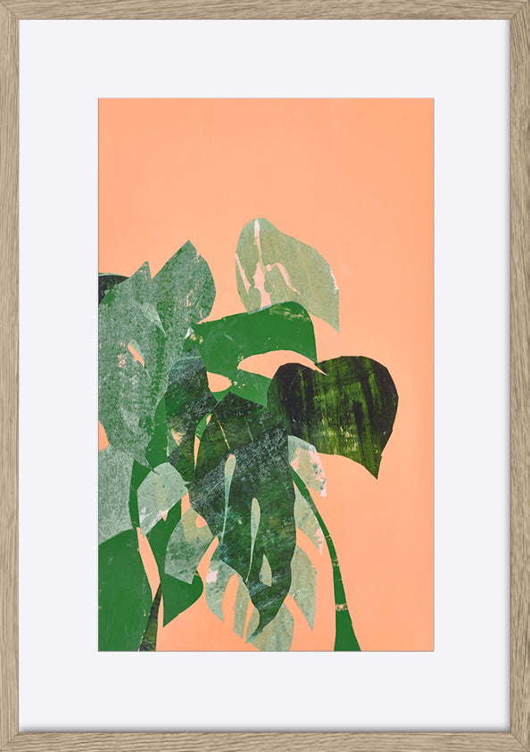 paper_frame