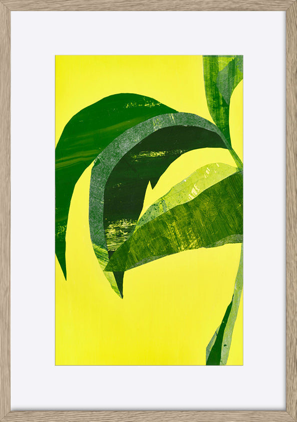 paper_frame