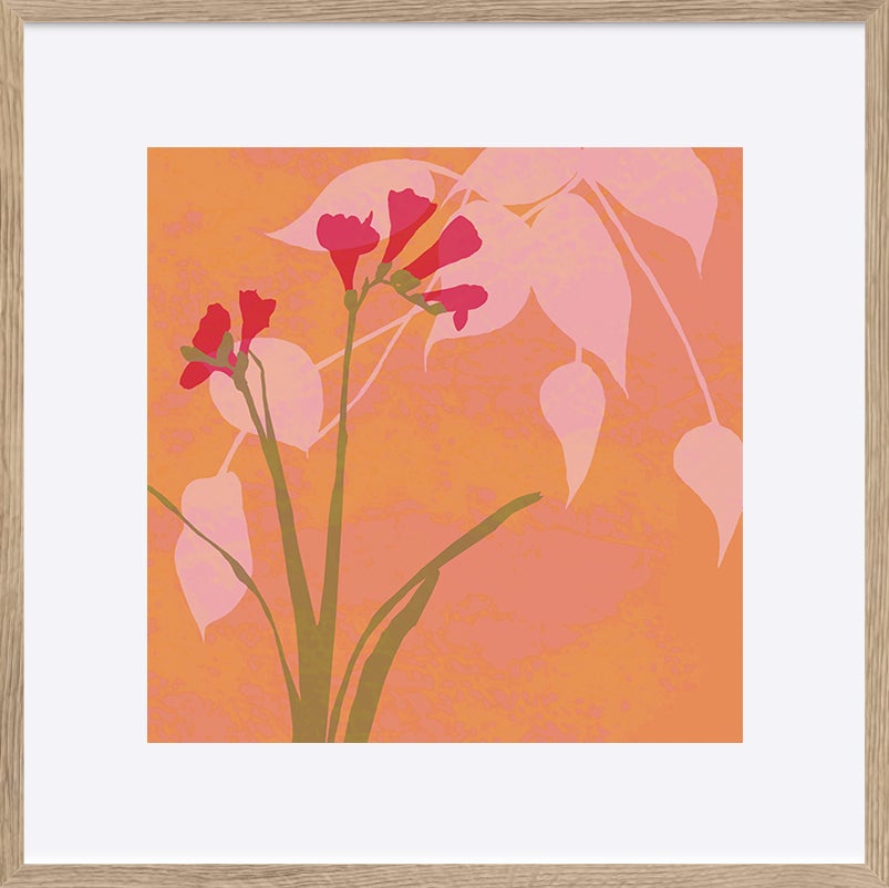 paper_frame