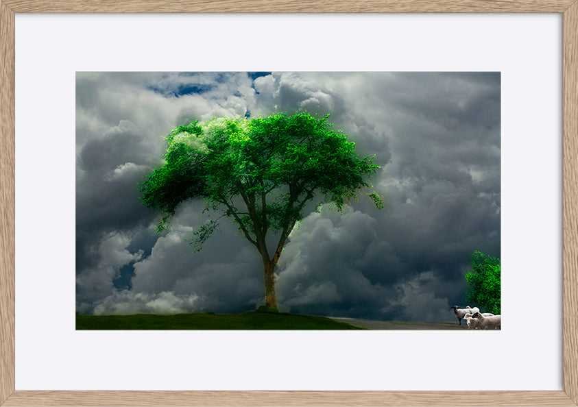 paper_frame
