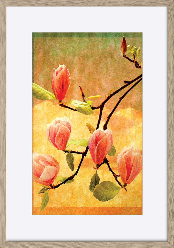 paper_frame