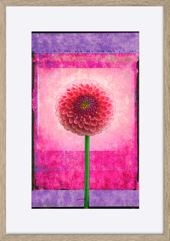 paper_frame