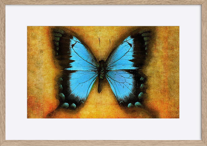 paper_frame