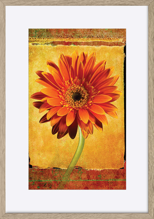 paper_frame