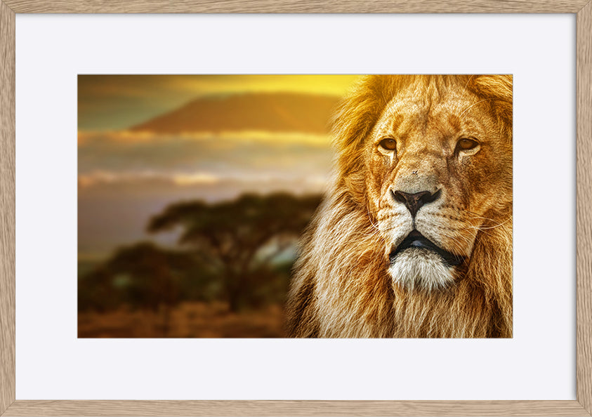 paper_frame