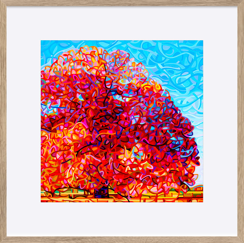 paper_frame