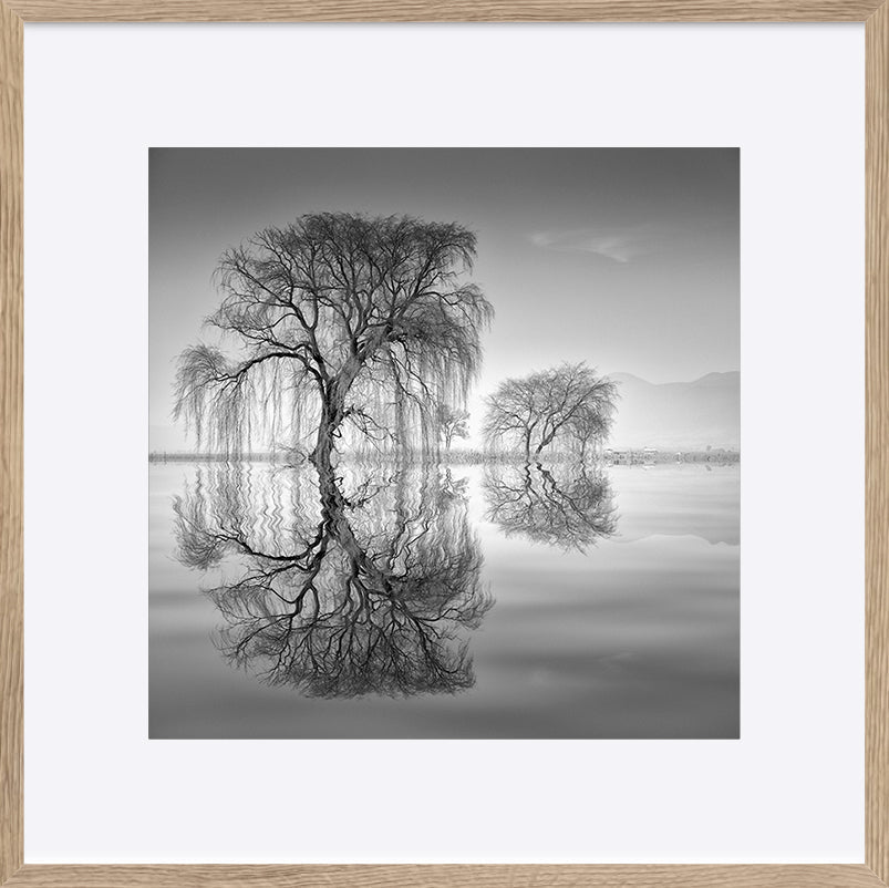 paper_frame