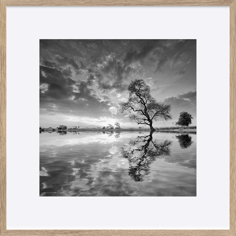 paper_frame