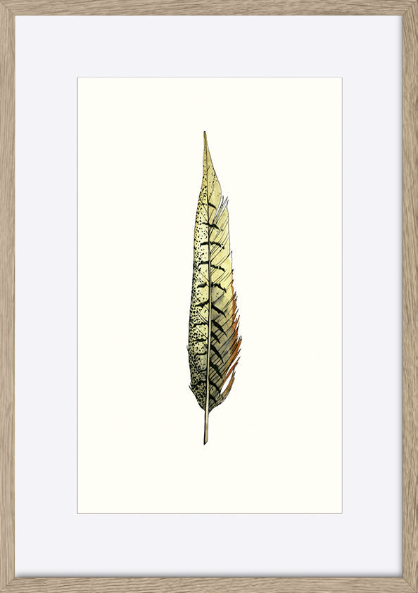 paper_frame