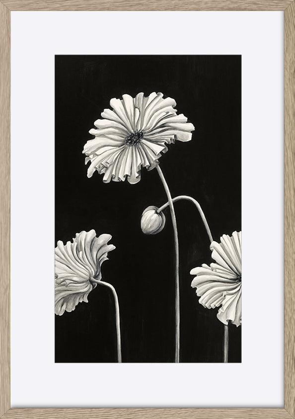 paper_frame