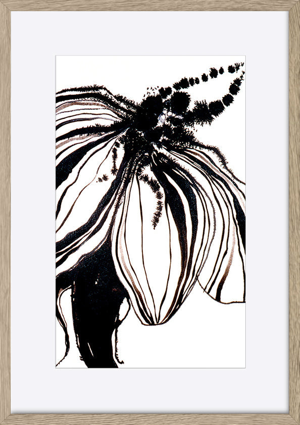 paper_frame
