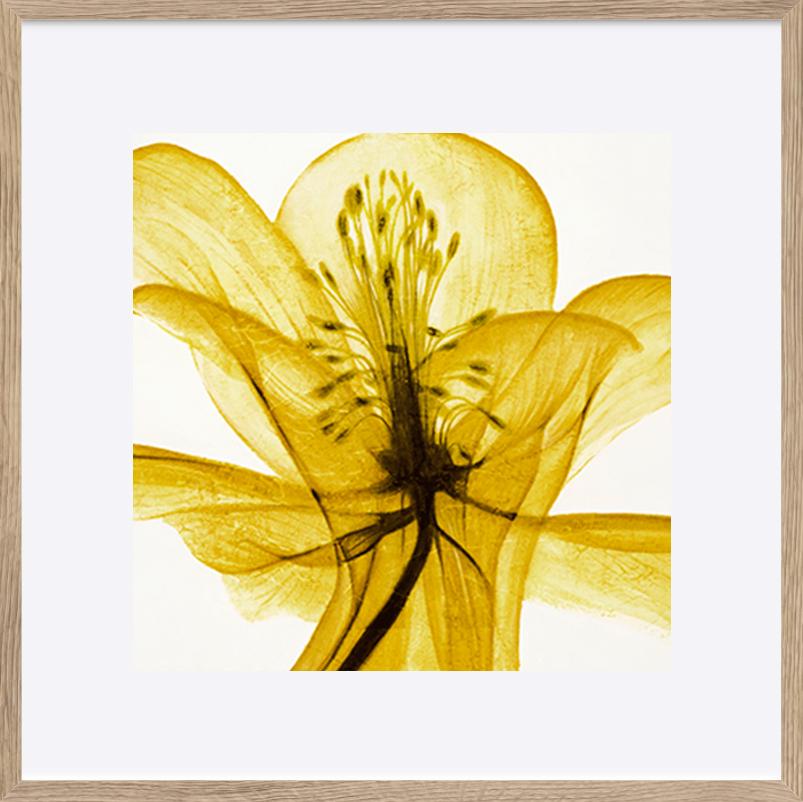 paper_frame