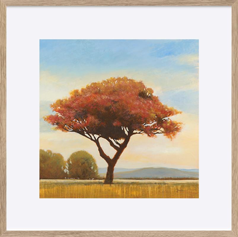 paper_frame