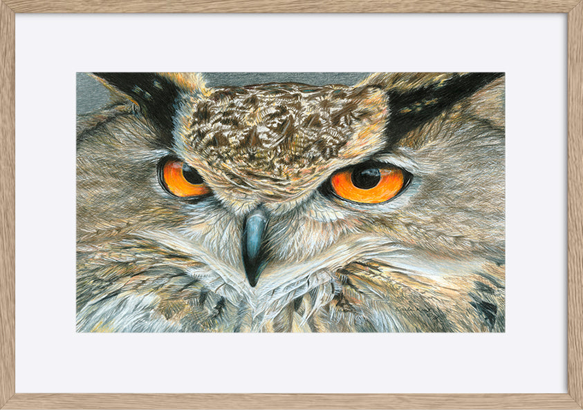 paper_frame