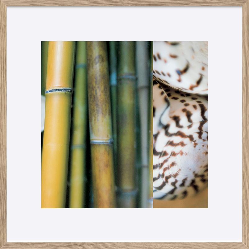 paper_frame