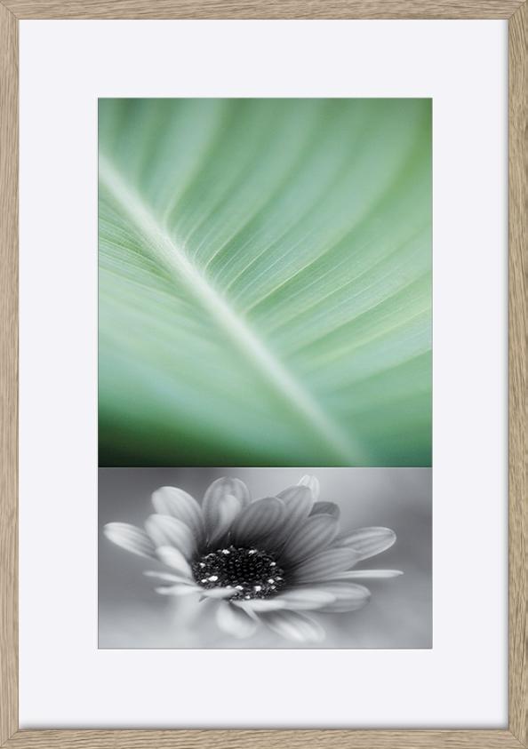 paper_frame