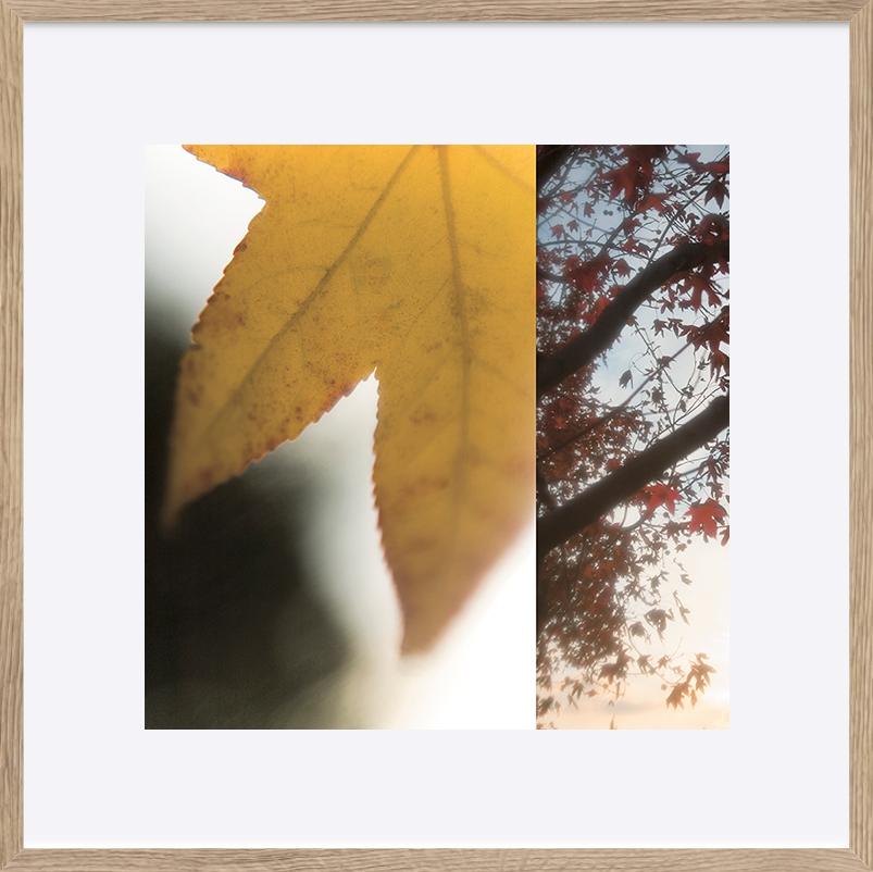 paper_frame