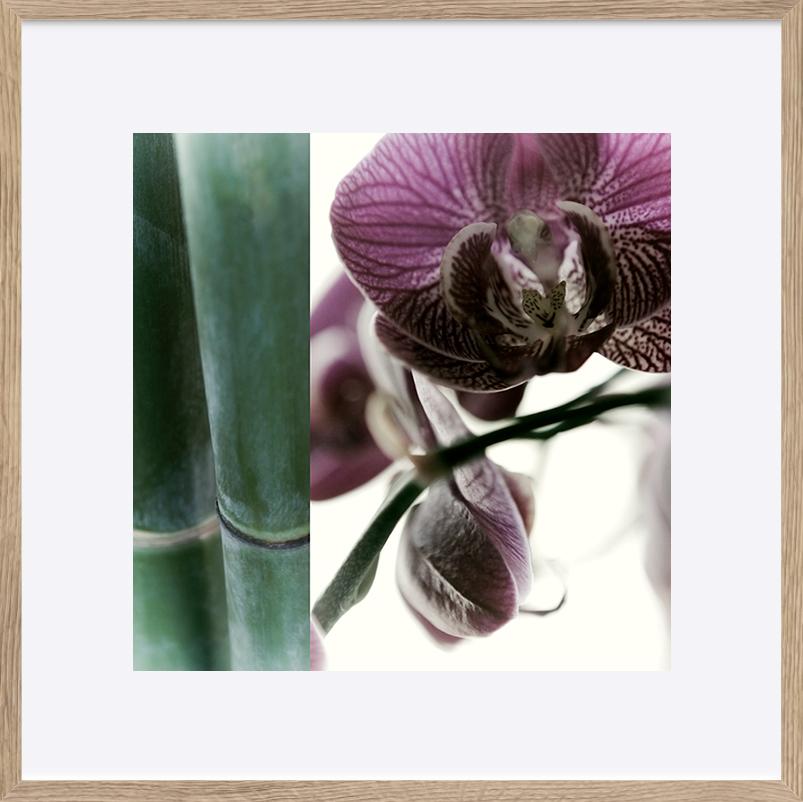 paper_frame