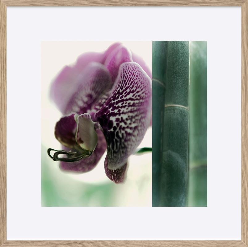 paper_frame