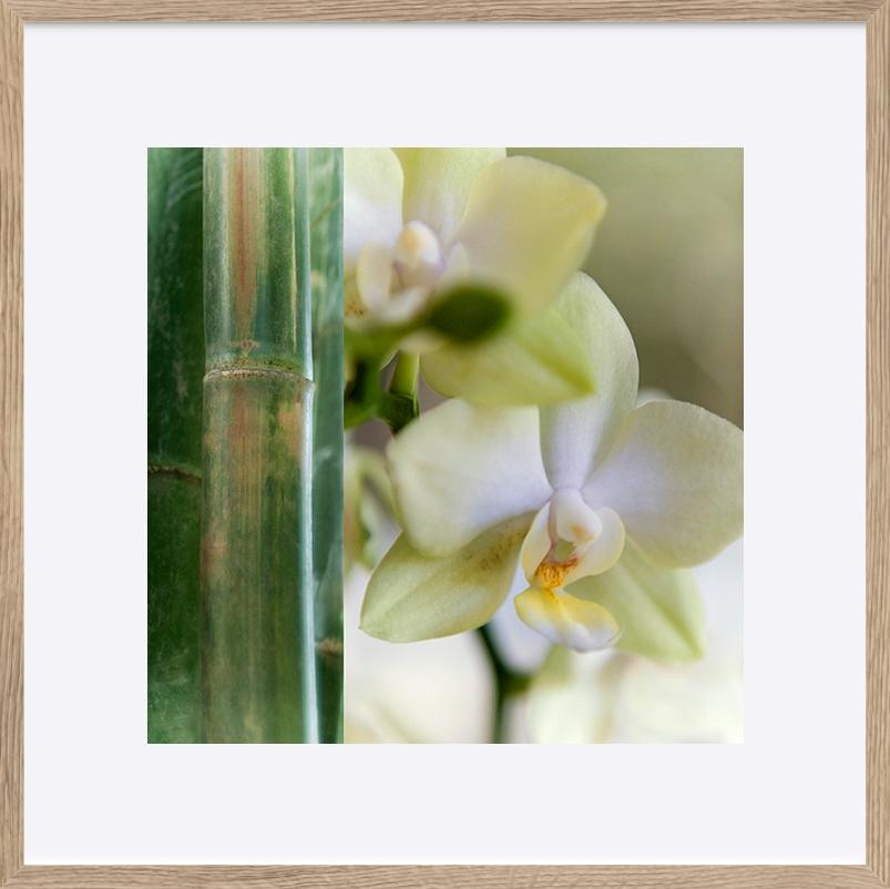 paper_frame