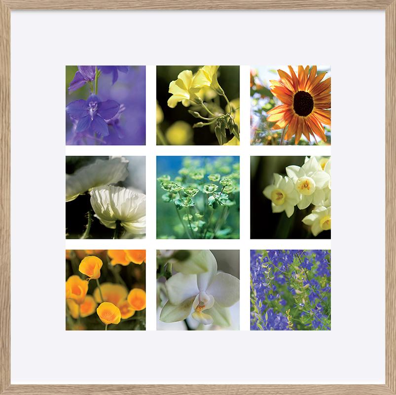 paper_frame